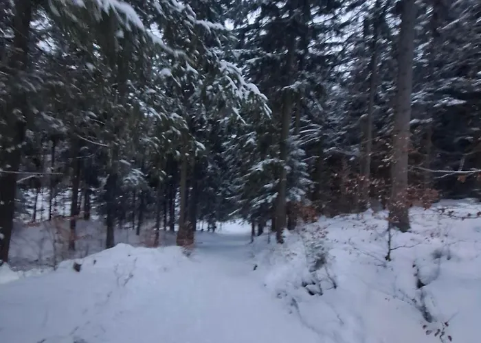 Wilczy Zakatek Karpacz