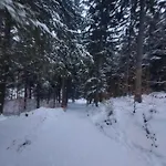 Wilczy Zakatek Карпач