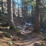 Апартаменты Wilczy Zakatek Карпач