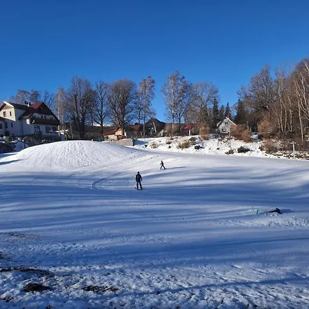 Wilczy Zakatek Апартаменты *