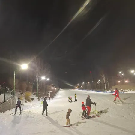 Апартаменты Wilczy Zakatek *