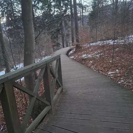 Wilczy Zakatek Апартаменты *