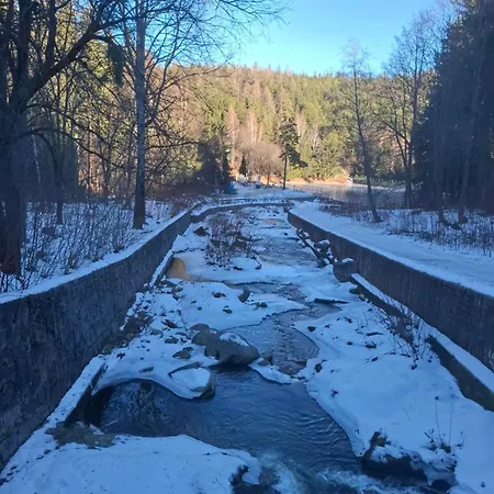 Апартаменты Wilczy Zakatek Карпач