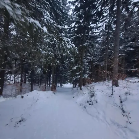 Wilczy Zakatek Карпач