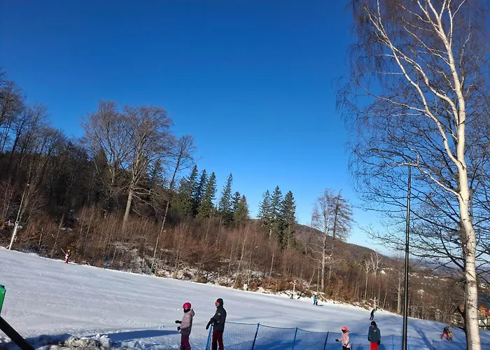 Apartment Wilczy Zakatek *