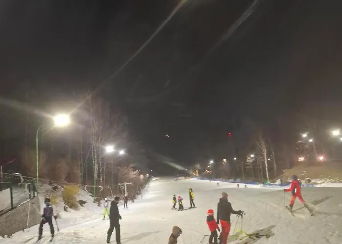 Apartment Wilczy Zakatek *