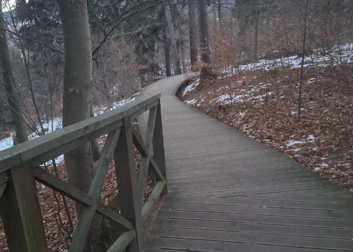 Wilczy Zakatek Apartment *